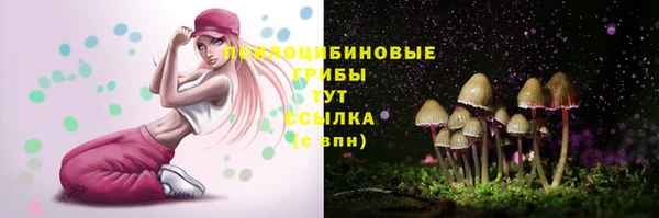 винт Дмитровск