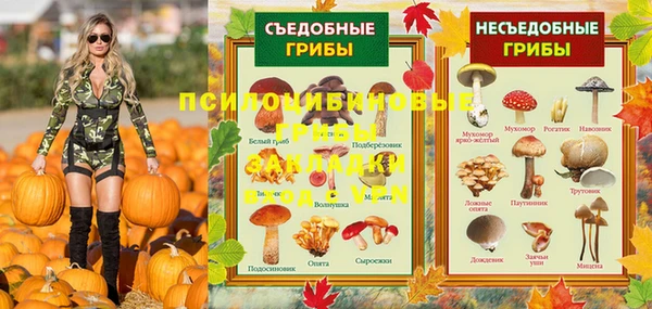 амф Белоозёрский