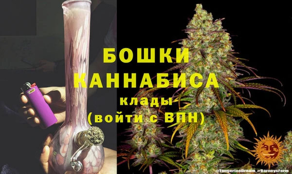 амф Белоозёрский