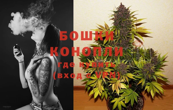 амф Белоозёрский